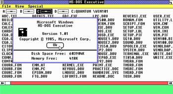 MS-DOS Executive