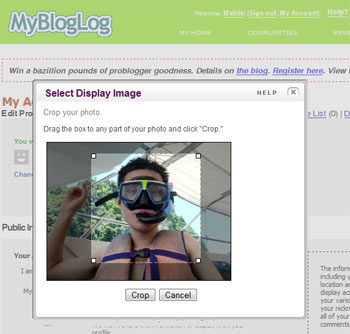 MyBlogLog