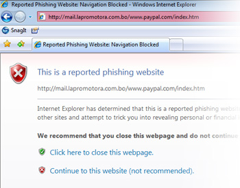 Phishing website