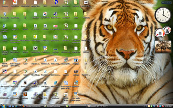 Tiger desktop