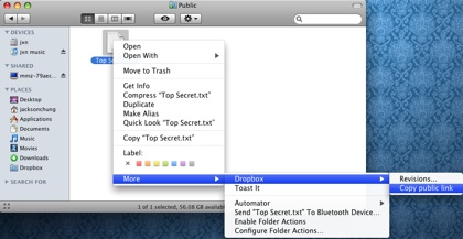 Dropbox public link