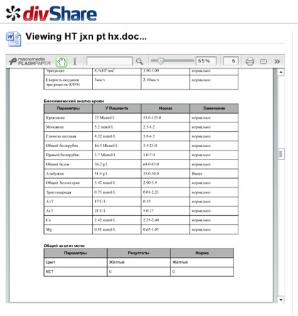 Divshare preview