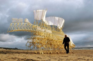 strandbeest09