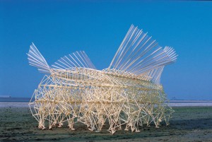 strandbeest7