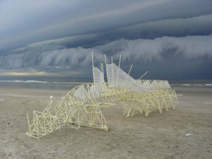 strandbeest8